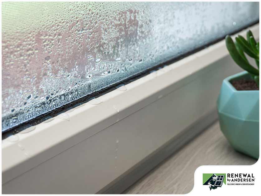 Window Seal Failure