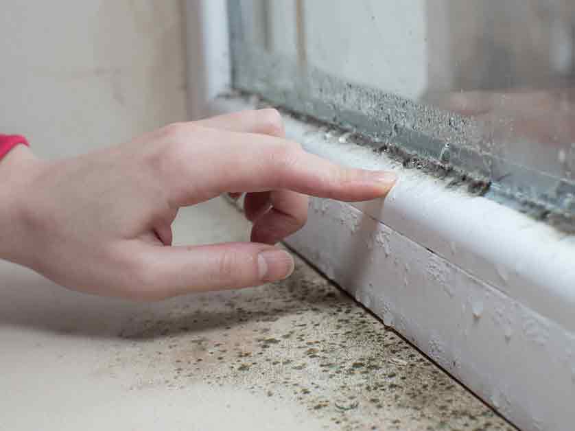 Window Seal Failure
