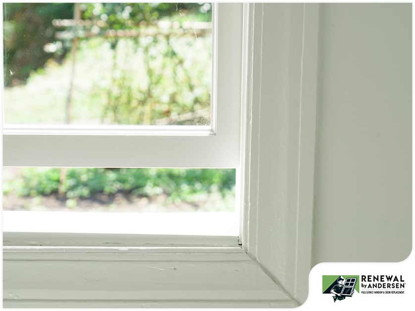 Window Warping