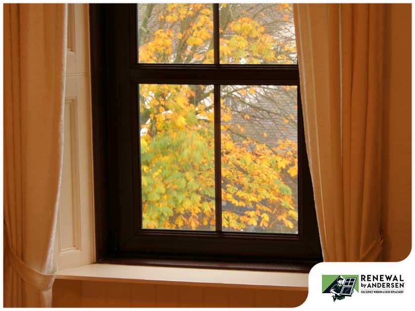 Replacing Windows