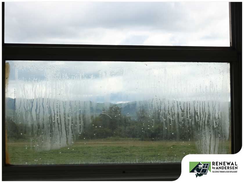 Failing Window Seals  