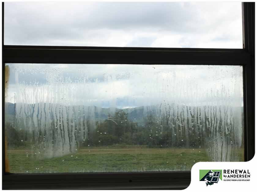 Condensation Forming on Your Windows
