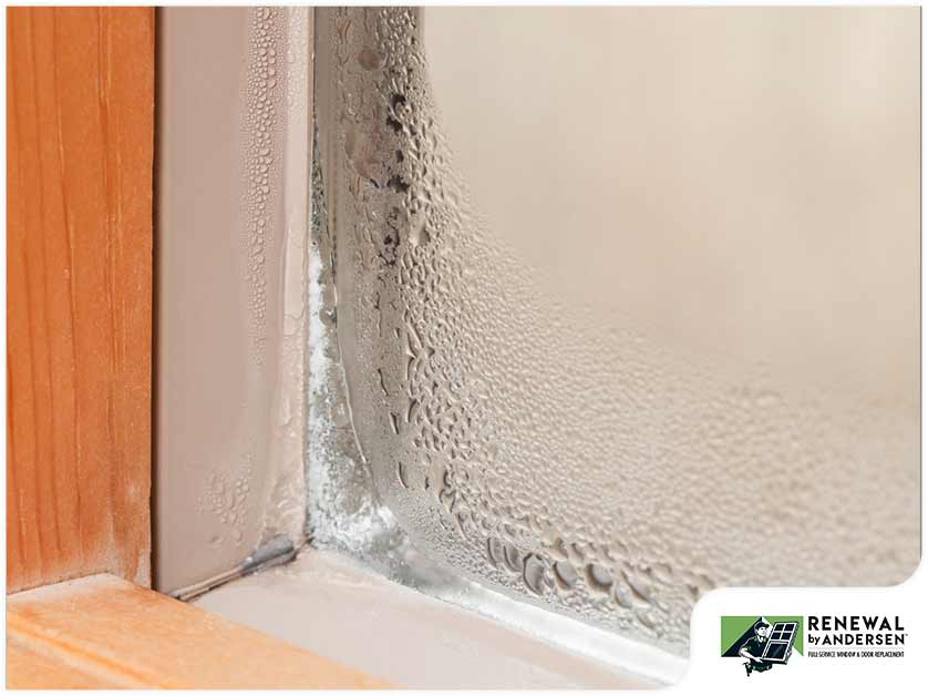 Window Seals Have Failed