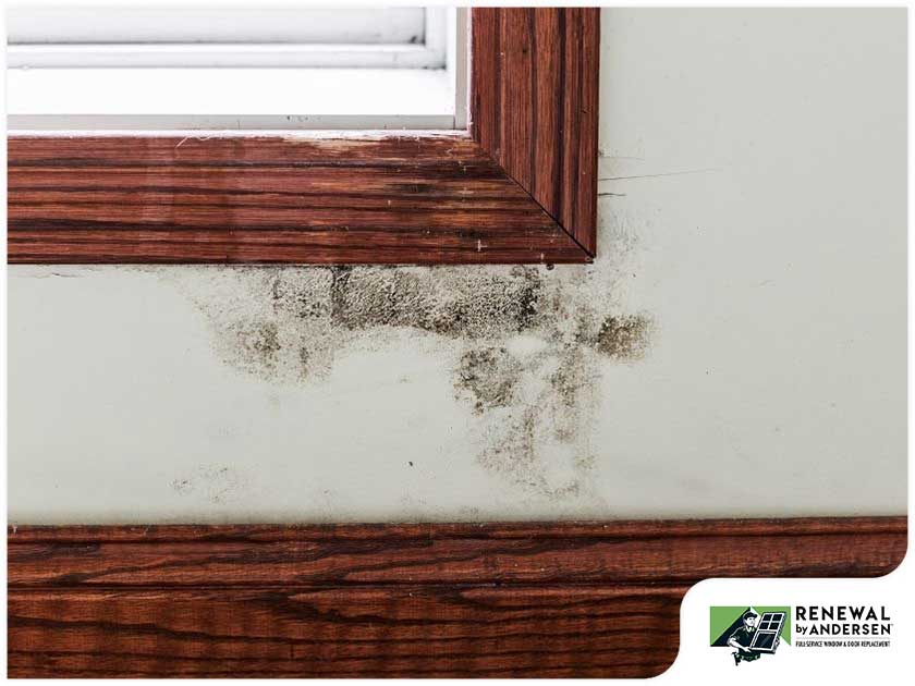 Window Casings