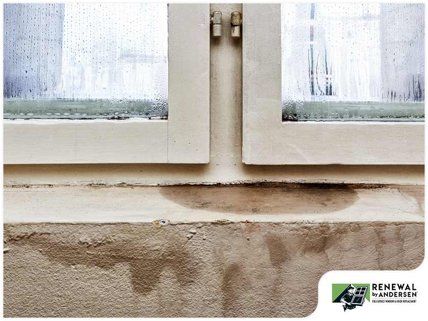 Signs That You Need To Replace Your Windows